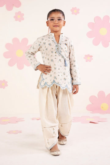 2 Piece Embroidered Lawn Suit