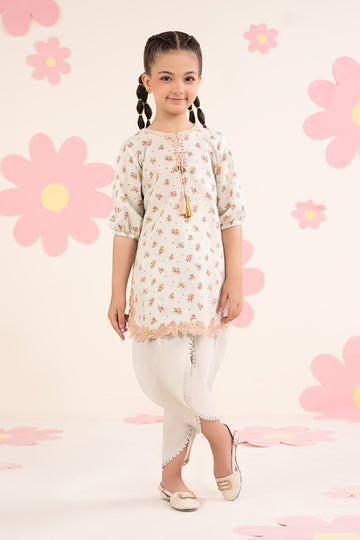 2 Piece Embroidered Lawn Suit