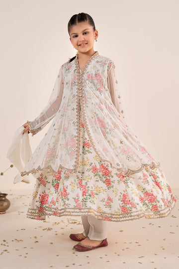 4 Piece Embroidered Net Suit