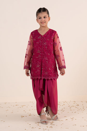 2 Piece Embroidered Organza Suit