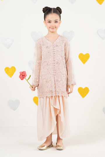 2 Piece Embroidered Organza Suit