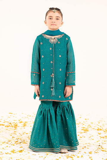 3 Piece Embroidered Cotton Net Suit