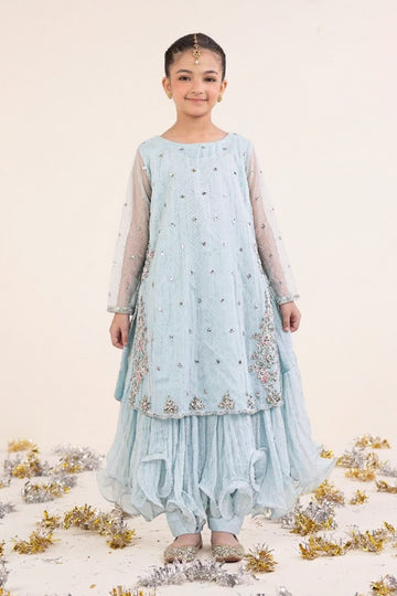 2 Piece Embroidered Organza Suit