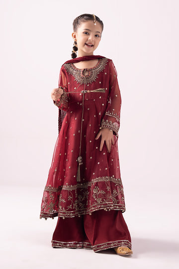 3 Piece Embroidered Organza Suit