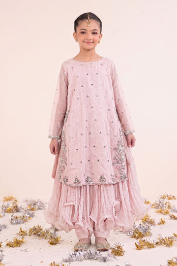 2 Piece Embroidered Organza Suit